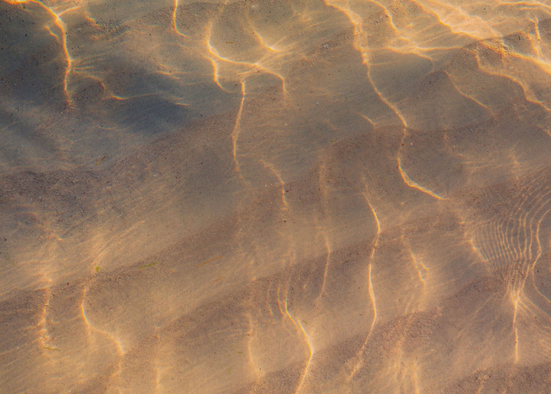 Sunlit ripples on sand